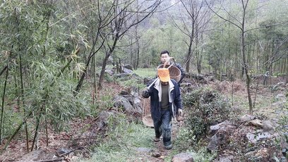 不时不食春雷过后的美食嫩得出汁肉白鲜甜不抓紧又要等上一年啦