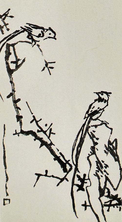 国画基础讲堂|绶带鸟的简易画法以及常见布局构图