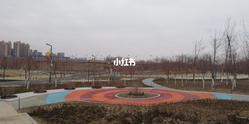 乌鲁木齐头屯河森林公园_头屯河谷森林公园_景点_森林