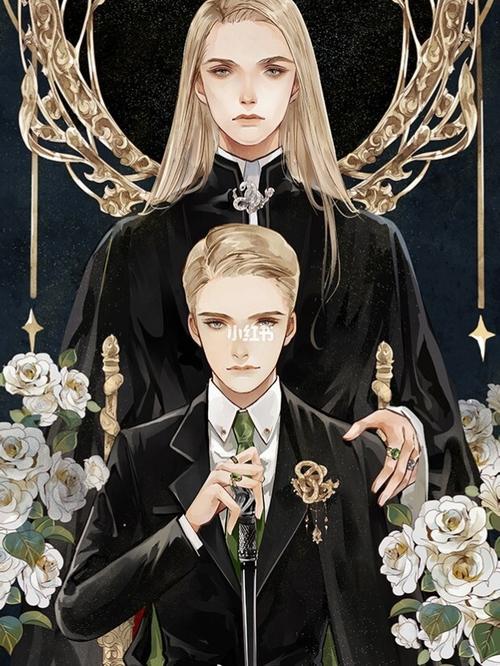 卢修斯和德拉科_动漫_影视_动漫