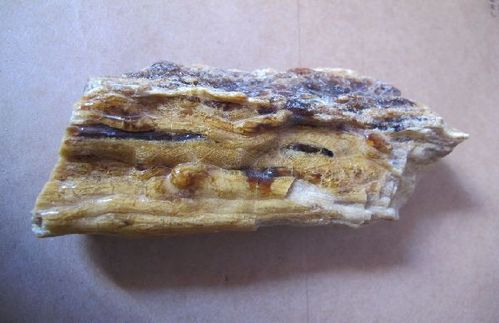 泌尿结石 药膳也能排