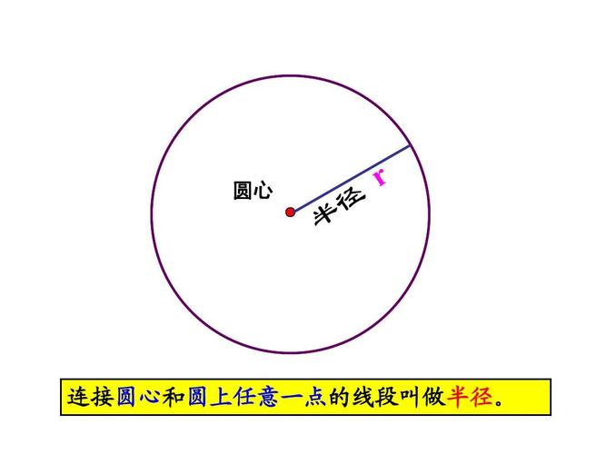 圆心 连接圆心和圆上任意一点的线段叫做半径.