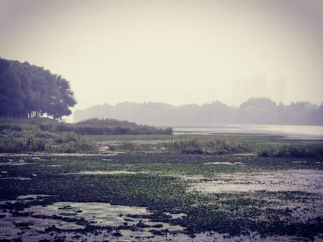 脚下真实的河边.