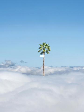 苹果手机高清壁纸