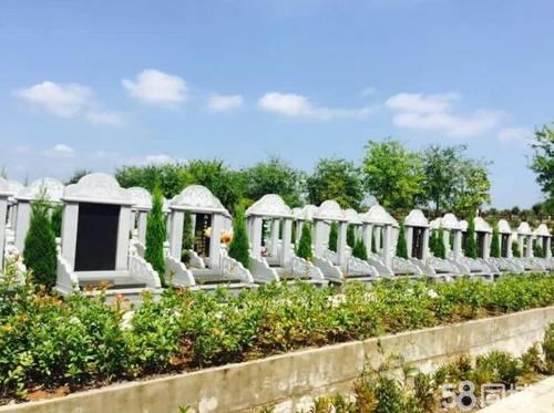 武汉市龙泉山孝恩园,免费选墓,周末扫墓班车