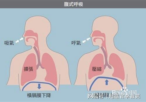 超感官:修行的基本功,腹式呼吸.