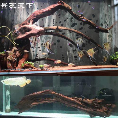 新款大型造景沉木拱桥龙鱼七彩神仙鱼缸流木柚木造景