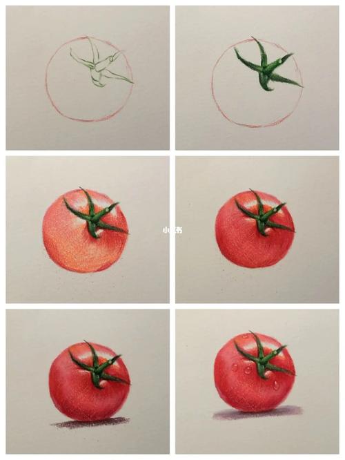 彩铅西红柿97详细绘画过程图_绘画_西红柿_彩铅_寻找小红书绘画大神