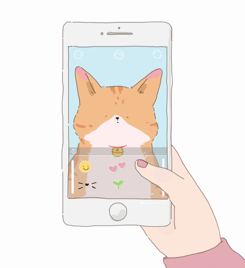 猫咪动图 插画