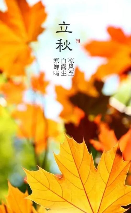 今日立秋|秋风有信,一叶知秋