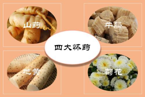 焦作特产四大怀药简笔画