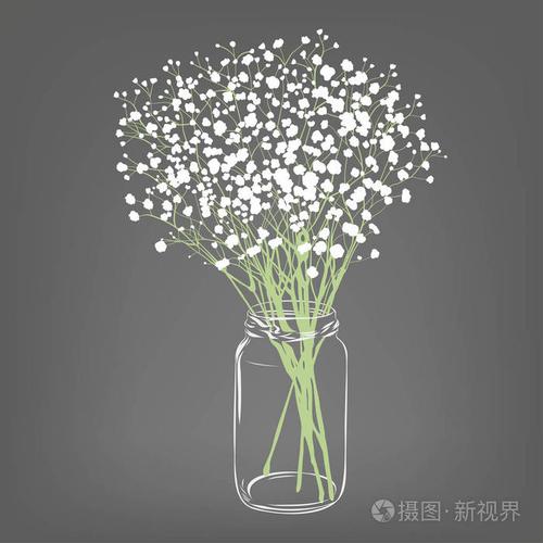 插画 白花花束.满天星花.透明玻璃罐.灰色背景.矢量插图.eps