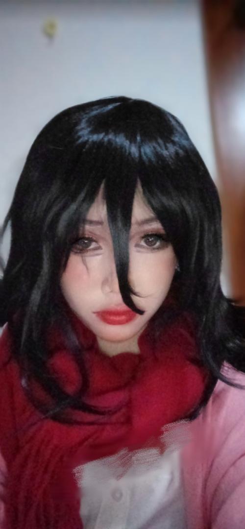 三笠阿克曼