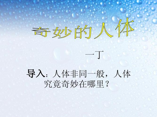 7奇妙的人体-ppt