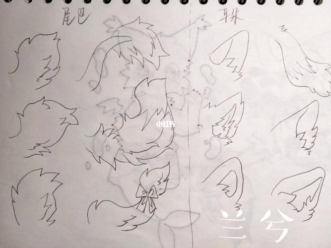 兽设姿势尾巴耳朵的小参考_教程_兽设教程_文化_绘画