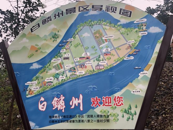 其它 年货推荐|白鳞洲上翡翠萝 写美篇 白麟洲长3公里,有耕地面积1700