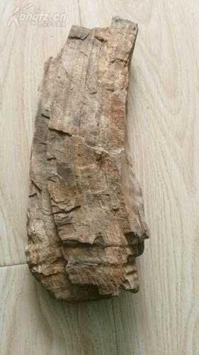 亿万年木化石摆件,木纹清晰精品【横财】镇宅宝石.