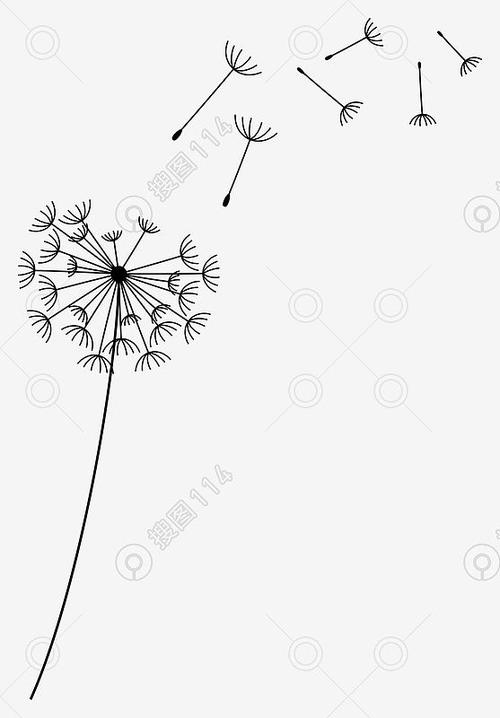 手绘蒲公英