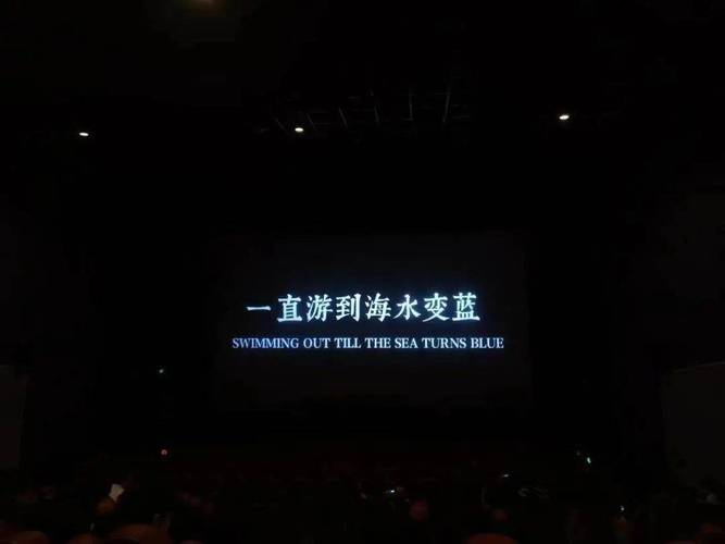 我们 一直游到海水变蓝