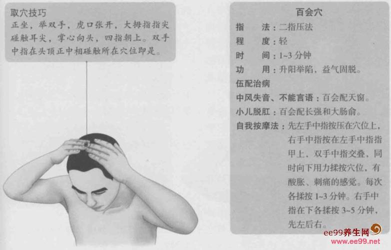 百会穴的准确位置图,百会穴的功效与作用