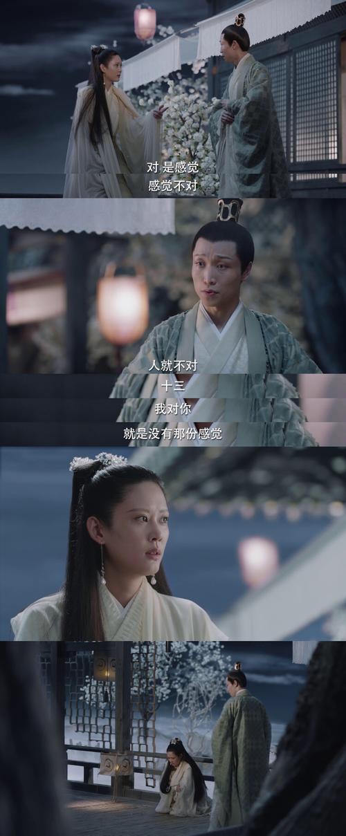 《宸汐缘》人物浅析(下)——直接反映主题的人物