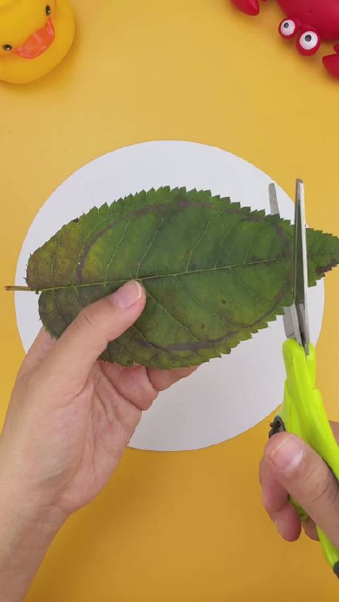 %亲子手工 %树叶画%树叶贴画%幼儿园手工%创意美术%萌知计划%绘画手工