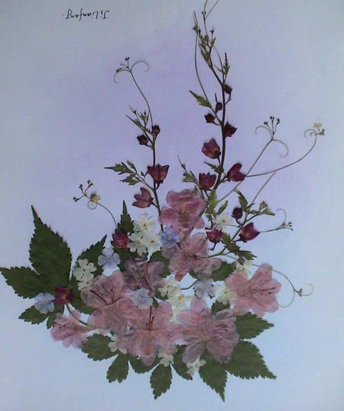  p>压花画是一门融合了绘画与花卉装饰的艺术作品.