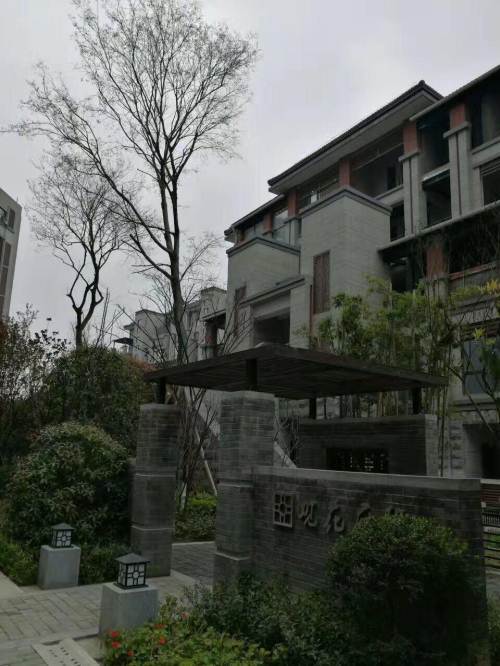 九洲大道观花府邸 4室2厅2卫 138㎡带平台诚意出售