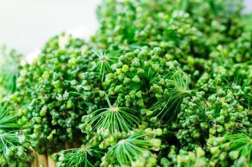 经常用韭菜籽泡水喝,身体会发生哪些奇特变化?营养师的回答在这