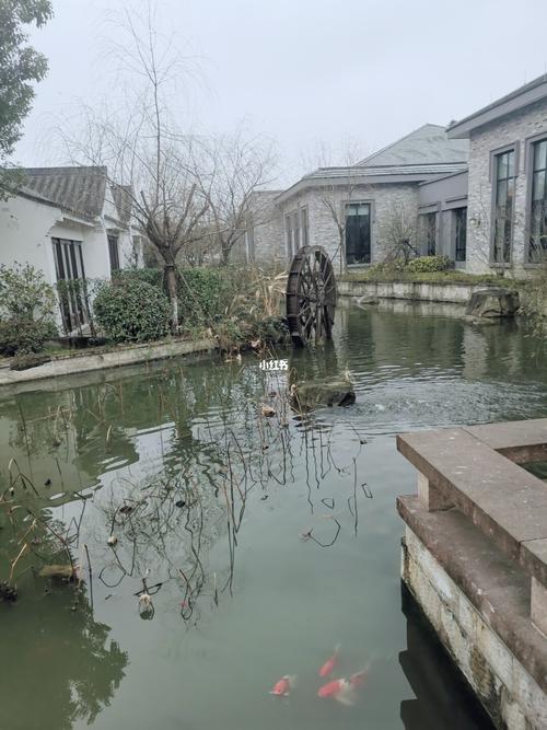 强烈推荐绍兴开元大禹观堂酒店_开元度假村怎么样_景点_出行_出行攻略