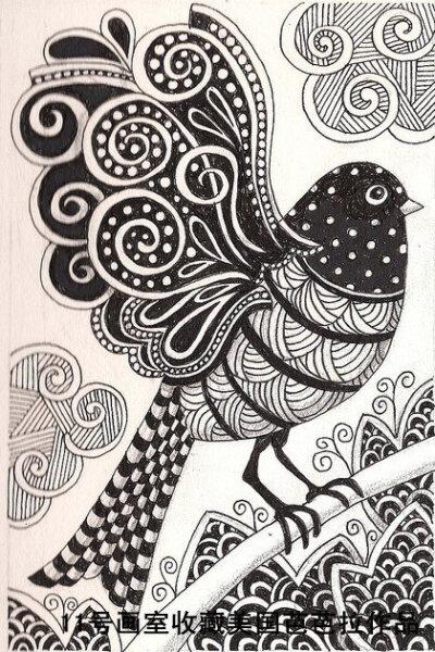 黑白画线条,鸟.