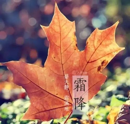 今日霜降,你必须知道的养生知识!