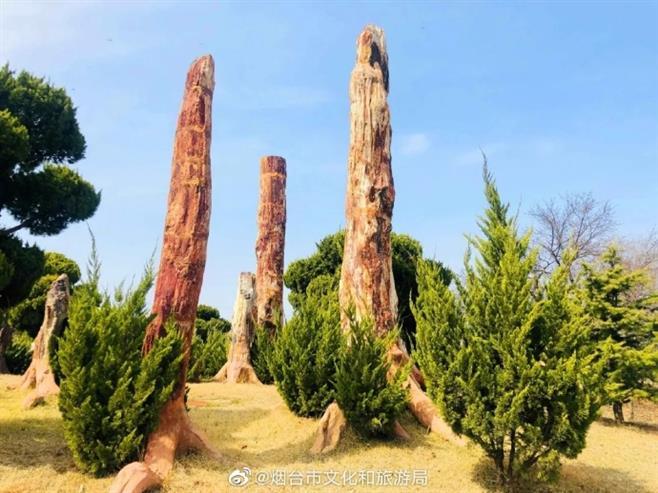 莱阳白垩纪国家恐龙地质公园对游客开放啦!