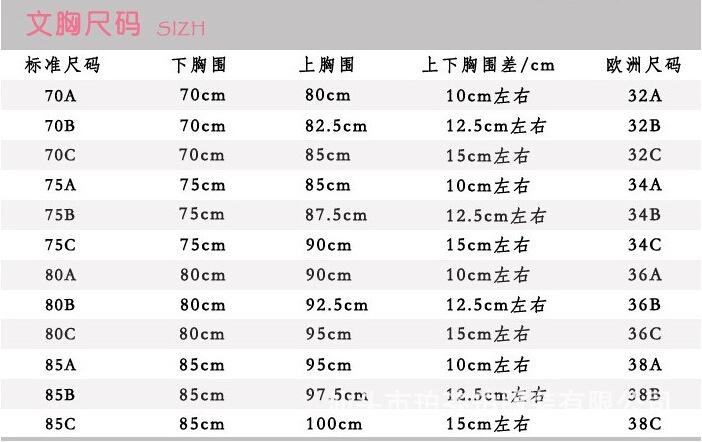 文胸尺码尺寸对照表,文胸的尺码,胸罩的尺寸, 34 36 38 a b c杯罩的