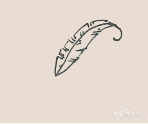简笔画---怎么画鹅毛笔