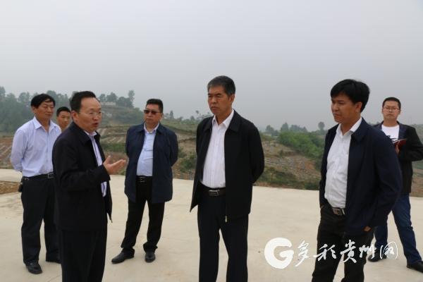 毕节市人大副主任吴学军到大方县调研辣椒产业发展工作