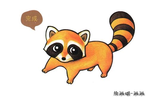 小浣熊简笔画彩色图片