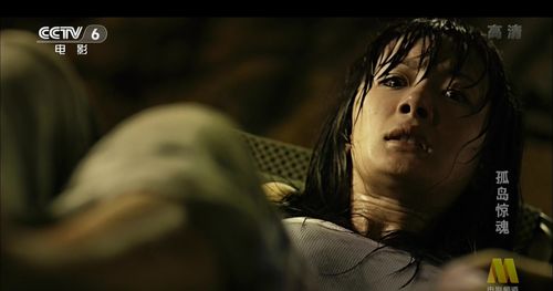 国剧巴士 69 78300典藏馆 69 壹高清1080i电影 69 孤岛惊魂