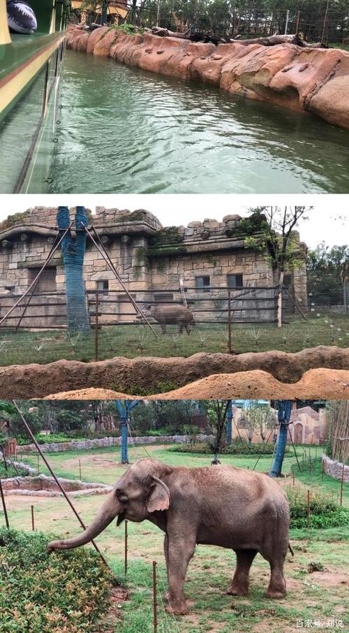 郑州银基动物王国,到底值得去吗?