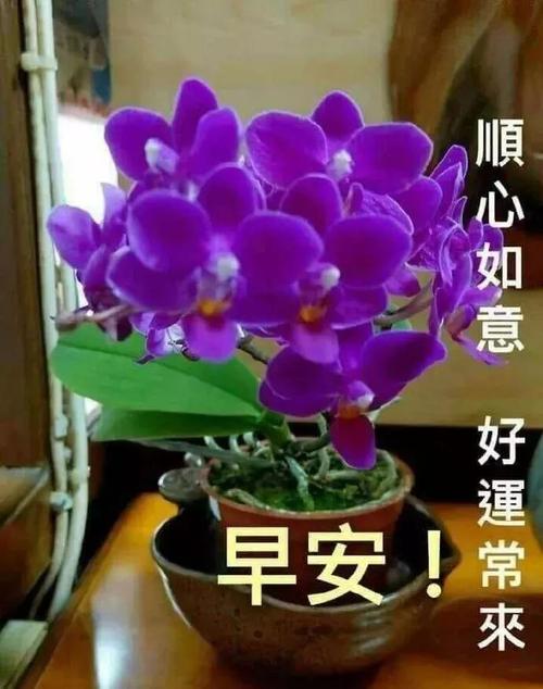 原创四月十九日最漂亮早上好图片大全动态表情 群里大家早上好的图片