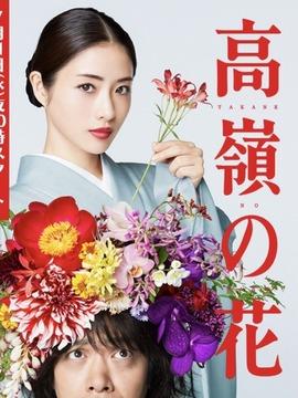 高岭之花剧情介绍(1-10全集)大结局_电视剧_电视猫