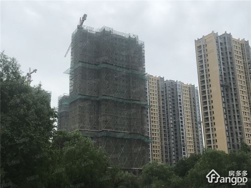 杉杉·国际城楼盘相册