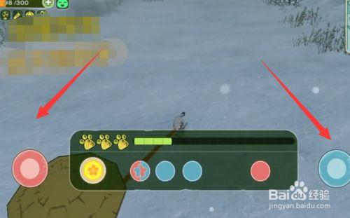 小森生活水玉貂怎么捕捉