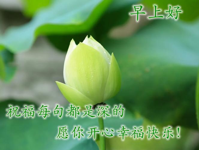 盛夏早安带字温馨图片 最新的早上好祝福语录送给大家