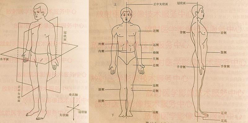 第二章,医用物理与x线摄影基础第4节医学影像摄影学人体定位标志