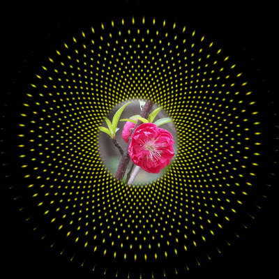 学习旋转发光图