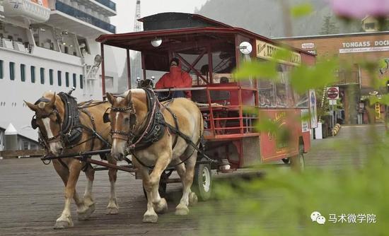 活跃在现代的马车