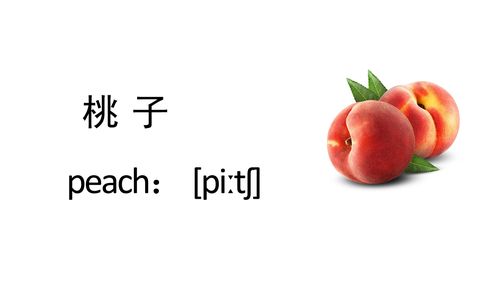 《桃子用英语怎么说?》少儿启蒙英语 英文单词幼儿朗诵(水果系列)