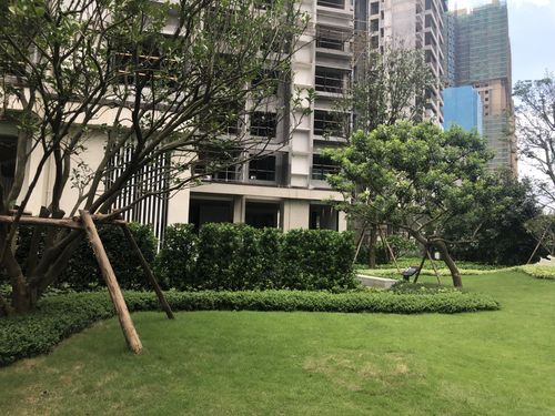 新会保利西海岸