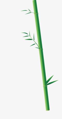 两根竹子